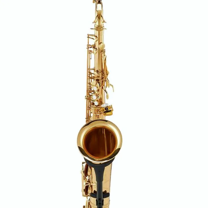 Test et Avis : Schagerl SuperiorPro Tenor Sax T-2L