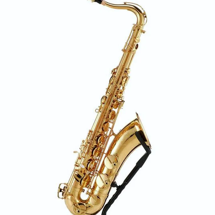 Test et Avis : Schagerl SuperiorPro Tenor Sax T-2L
