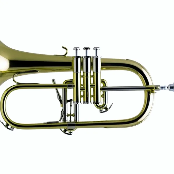 Test, Avis du bugle Schilke 1042 FLB Bb- Flugelhorn