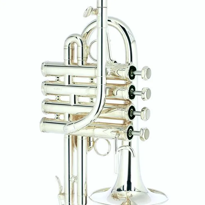 Test et Avis : Schilke P 7-4 A/Bb- Piccolo