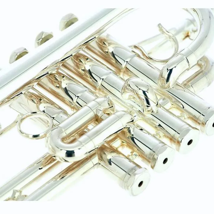 Test et Avis : Schilke P 7-4 A/Bb- Piccolo