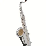 Saxophone Selmer Supreme Tenor Sax SE-TSUS / Test, Avis