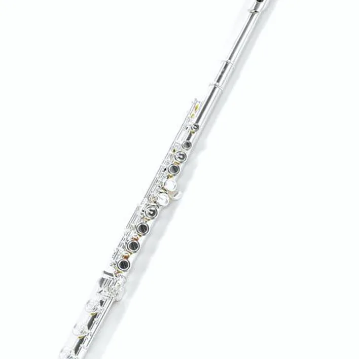 Avis et Test de la flûte traversière Thomann Kotori KF-CBEO Flute