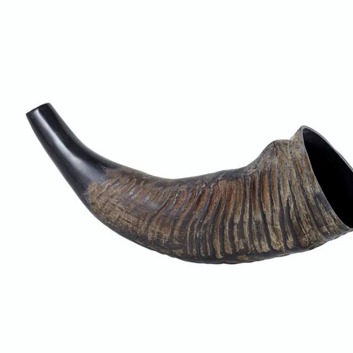 Test et Avis : Thomann Water Buffalo Horn