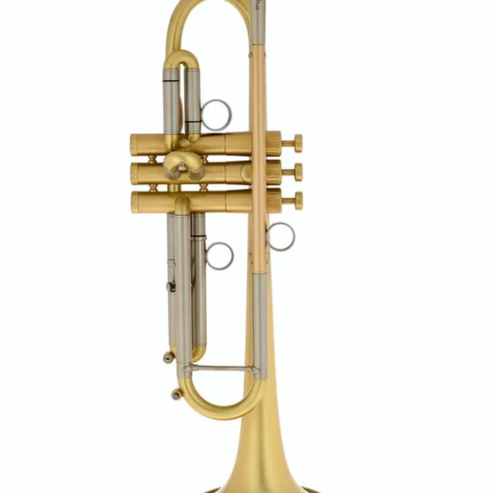Test et Avis trompette Martin Böhme Tumultus Bb-Trumpet L