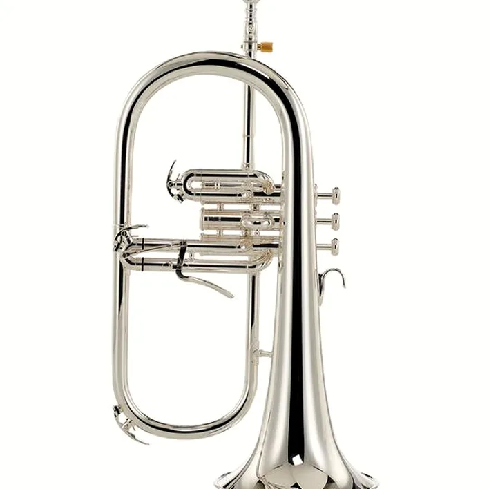 Avis et Test bugle Yamaha YFH-8310 ZGS 02 Flugelhorn