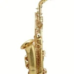 Saxophone Yanagisawa A-WO10 Elite Alto Sax Test, Avis et Comparatif