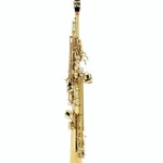 Test, Avis du saxophone Yanagisawa S-WO1 Soprano Sax