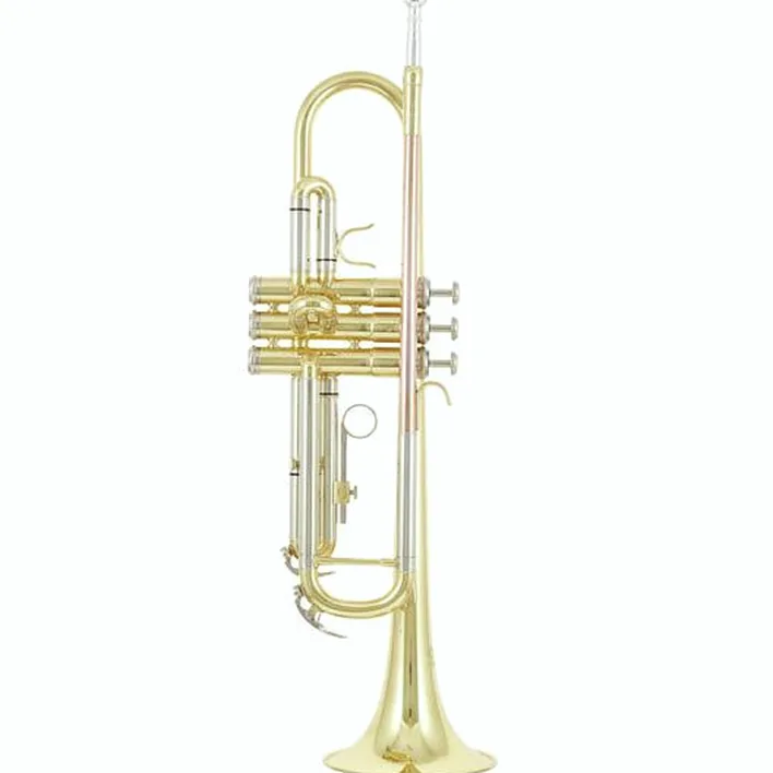 Thomann TR 200 Bb-Trumpet Avis et Test