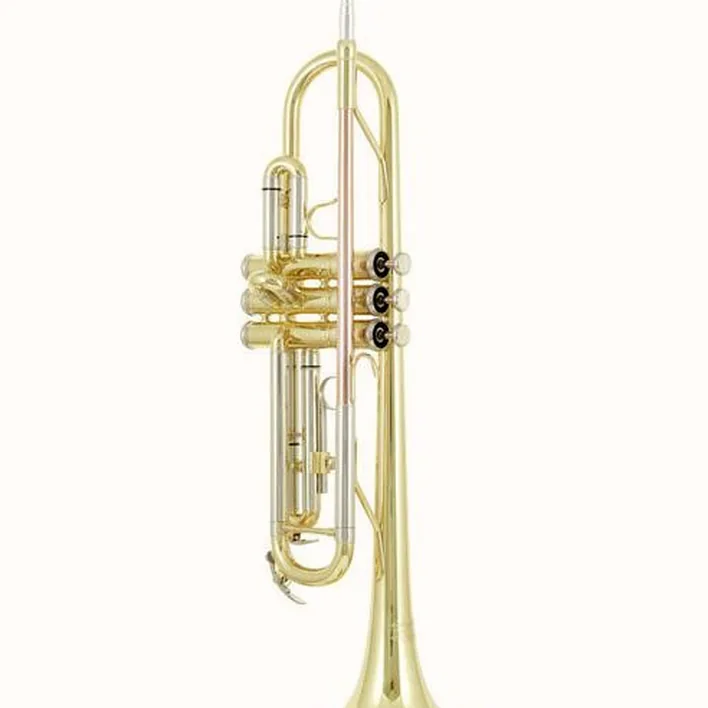 Thomann TR 200 Bb-Trumpet Avis et Test