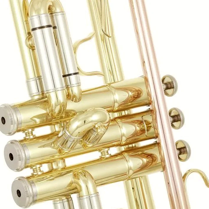Thomann TR 200 Bb-Trumpet Avis et Test