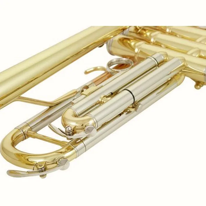 Thomann TR 200 Bb-Trumpet Avis et Test