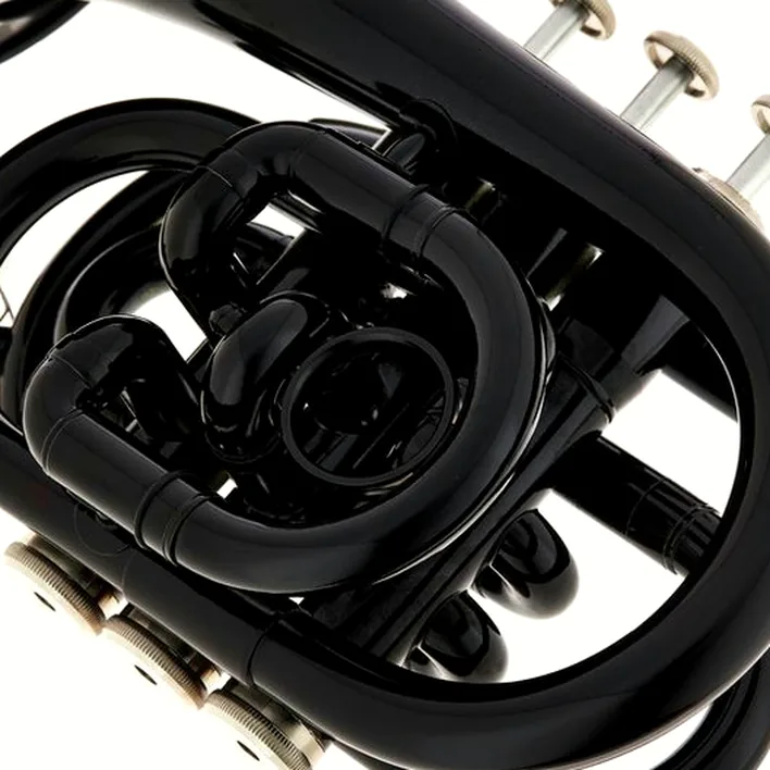 Thomann TR 25 Bb-Pocket Trumpet Black , Comparatif, Avis & Test