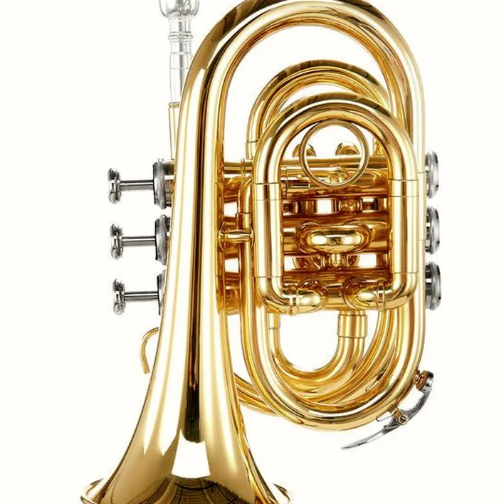 Thomann TR 5 Bb-Pocket Trumpet / Avis & Test