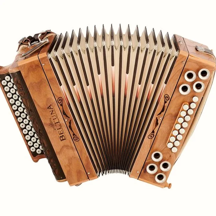 Tout sur l’accordéon Beltuna Alpstar Excl. Fly G/C/F/Bb Elm : Avis et guide pratique
