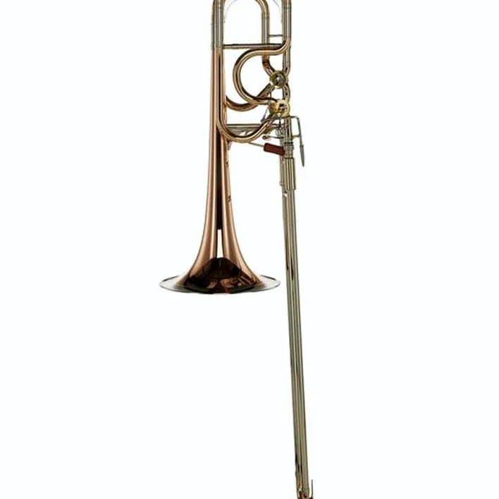 Trombone B&S MS27IK-L Bb/F/Ges/D-Basstromb., Test, Comparatif et Avis