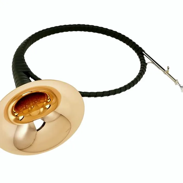 Trompe de chasse Dotzauer Parforce Horn in Bb 18216 : Comparatif, Test & Avis