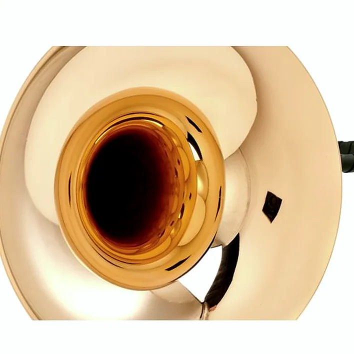 Trompe de chasse Dotzauer Parforce Horn in Bb 18216 : Comparatif, Test & Avis