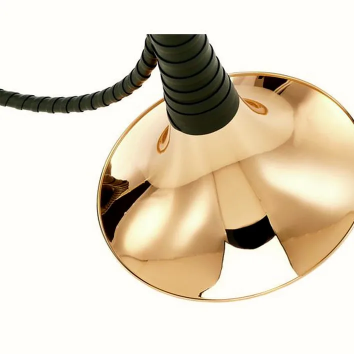 Trompe de chasse Dotzauer Parforce Horn in Bb 18216 : Comparatif, Test & Avis