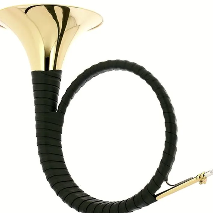 Trompe de chasse Dotzauer Parforce Horn in Bb 18315 Comparatif, Avis, Test