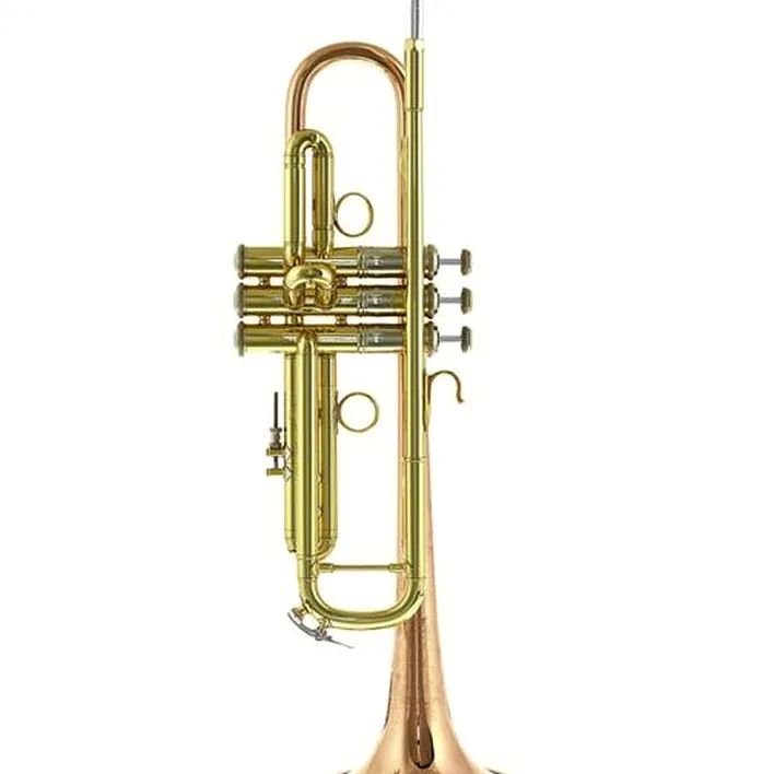 Trompette Bach LR19043B lacquered Bb- Trumpet : Avis, Test