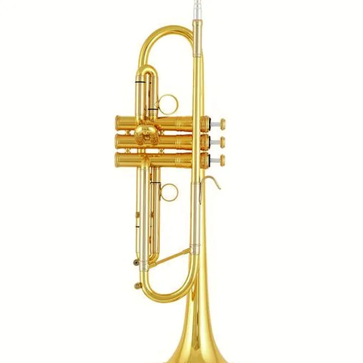 Trompette Kühnl & Hoyer Fantastic Bb-Trumpet Bundle Comparatif, Avis et Test