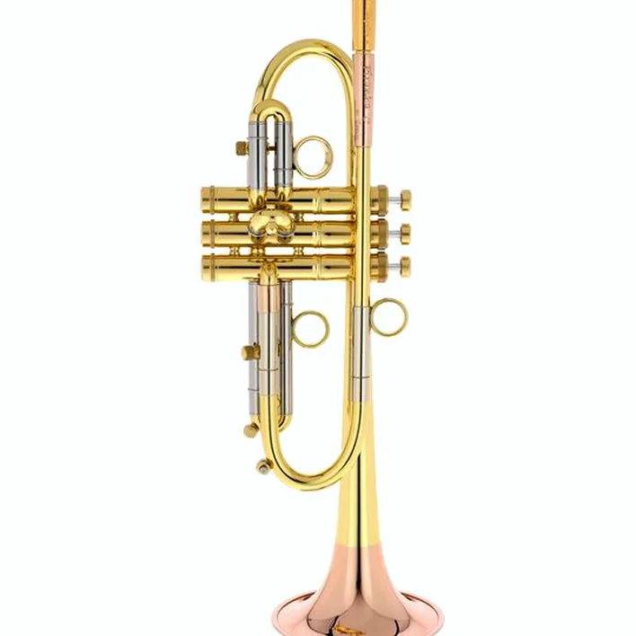 Trompette Taylor Trumpets Piranha C-Trumpet / Avis, Test