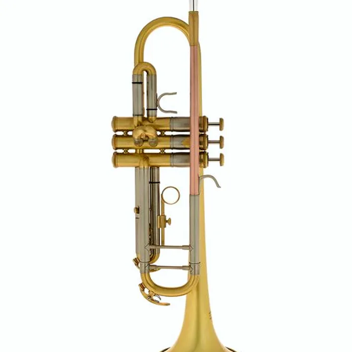 Trompette Thomann TR 620 M Bb-Trumpet Avis et Test