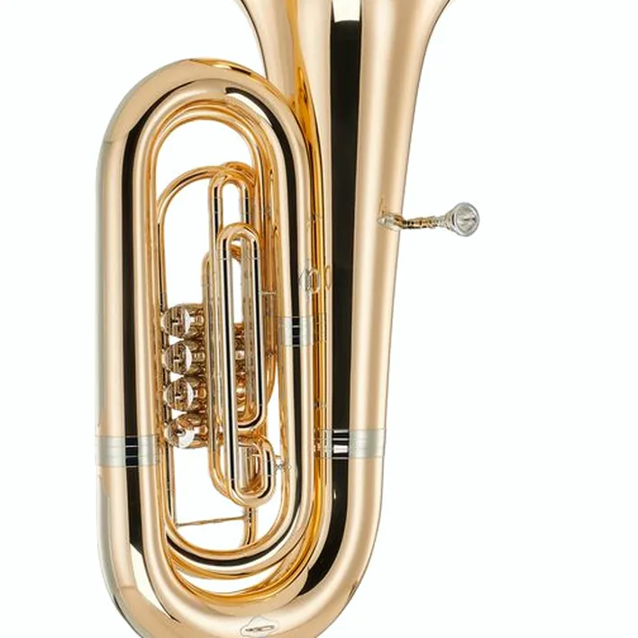 Tuba B&S GR55-L Bb-Tuba Comparatif, Avis et Test