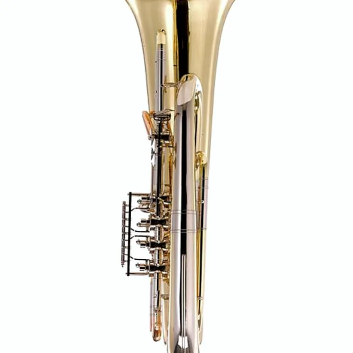 Tuba Rudolf Meinl 5/4 F-Tuba / Test, Comparatif et Avis