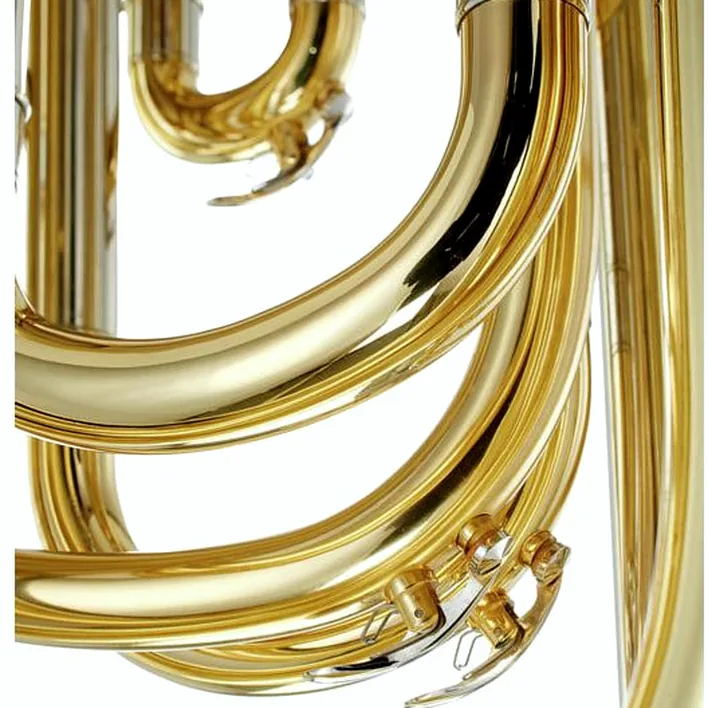 Tuba Thomann 894L Superior Bb-Tuba Test, Avis
