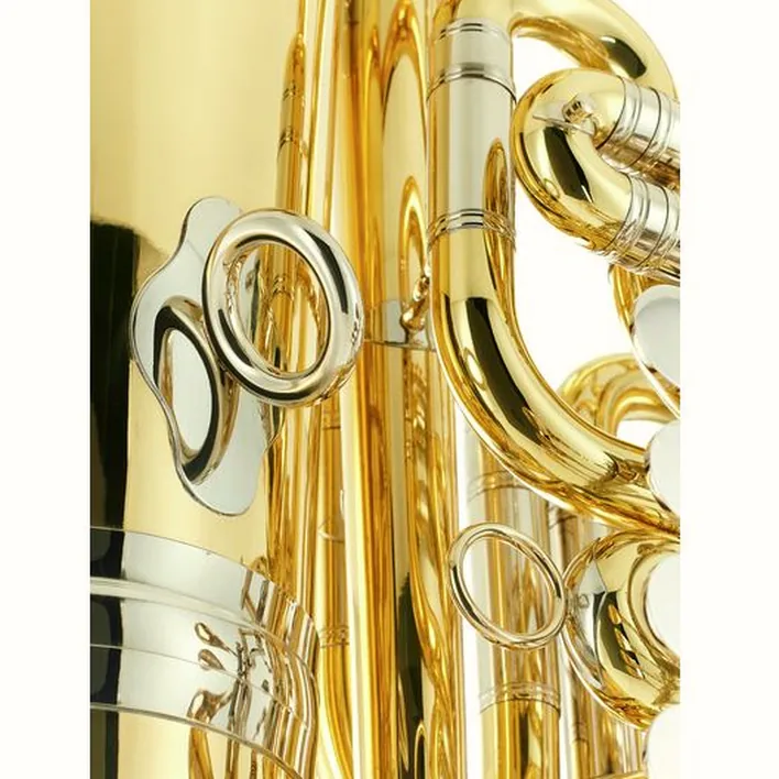 Tuba Thomann Thunderbird M F-Tuba, Comparatif, Avis et Test