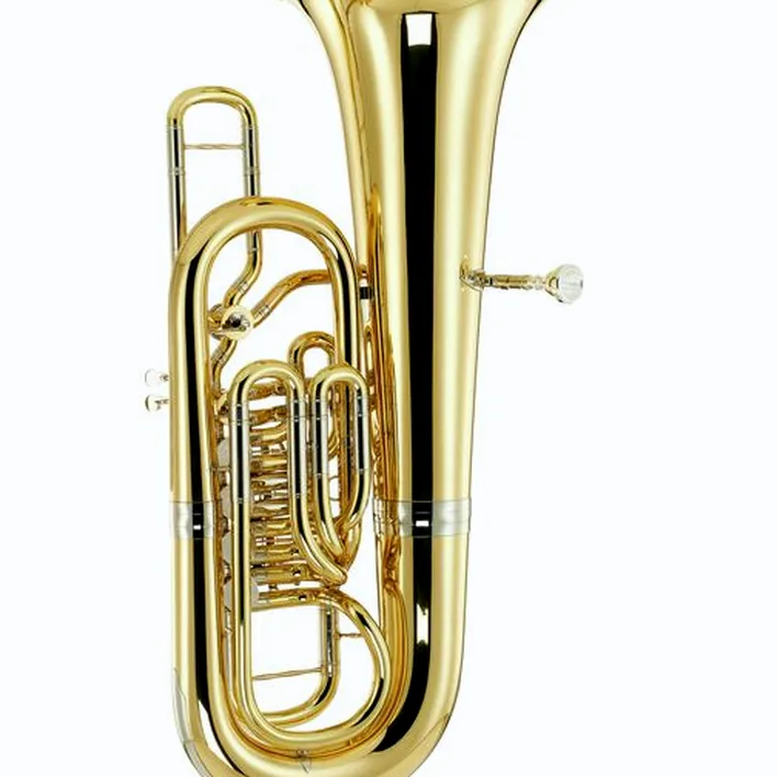 Tuba Thomann Thunderbird M F-Tuba, Comparatif, Avis et Test
