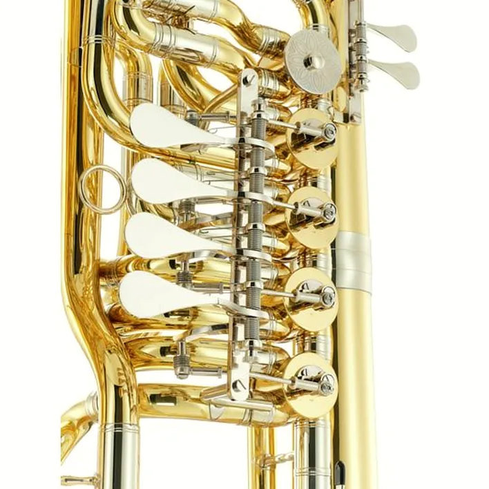 Tuba Thomann Thunderbird M F-Tuba, Comparatif, Avis et Test