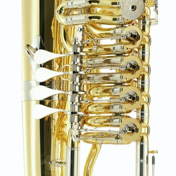Tuba Thomann Thunderbird M F-Tuba, Comparatif, Avis et Test