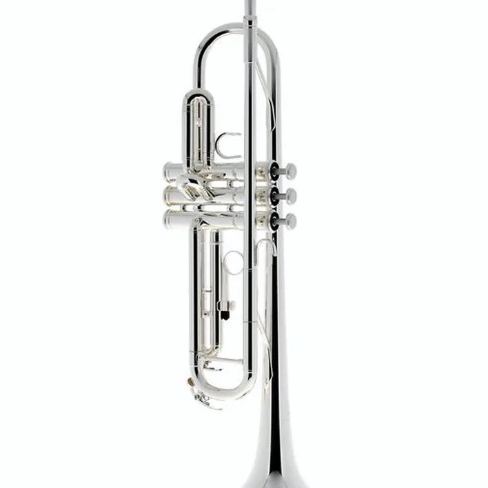 Yamaha YTR-3335S Trumpet : Avis, Test