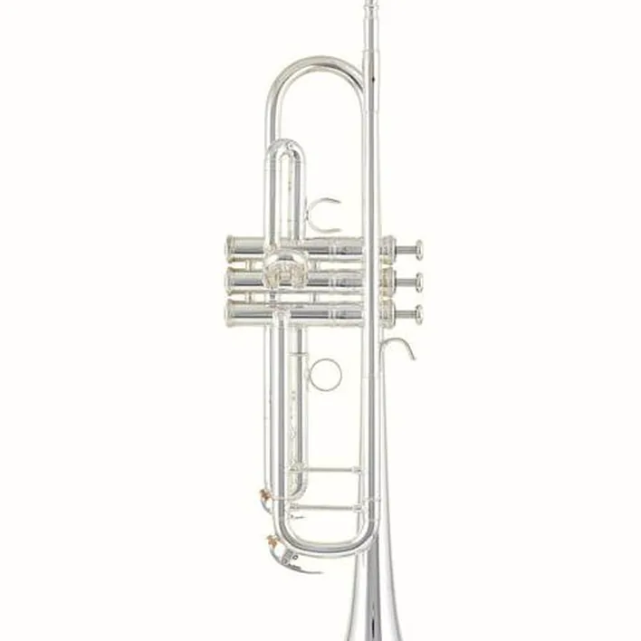Yamaha YTR-8345GS 04 Trumpet Test & Avis