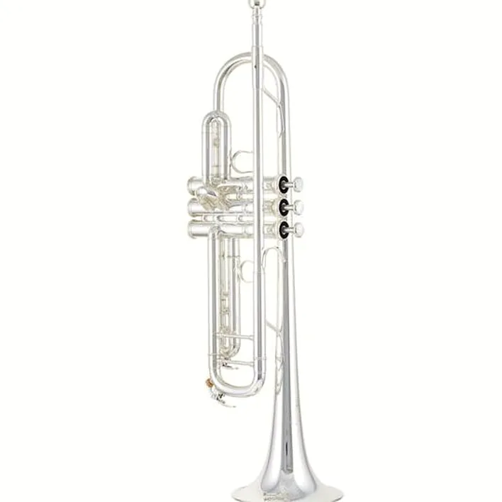 Yamaha YTR-8345GS 04 Trumpet Test & Avis