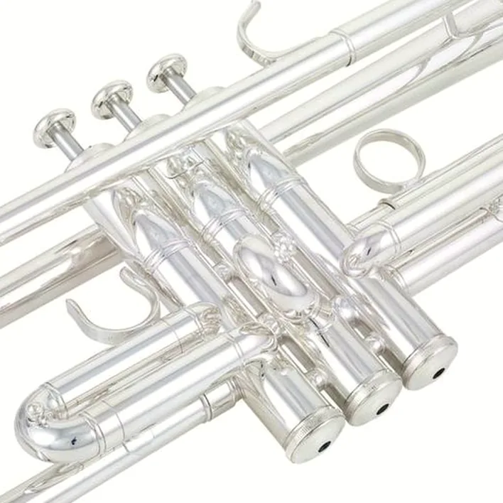 Yamaha YTR-8345GS 04 Trumpet Test & Avis