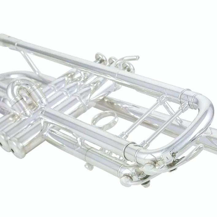 Yamaha YTR-8345GS 04 Trumpet Test & Avis